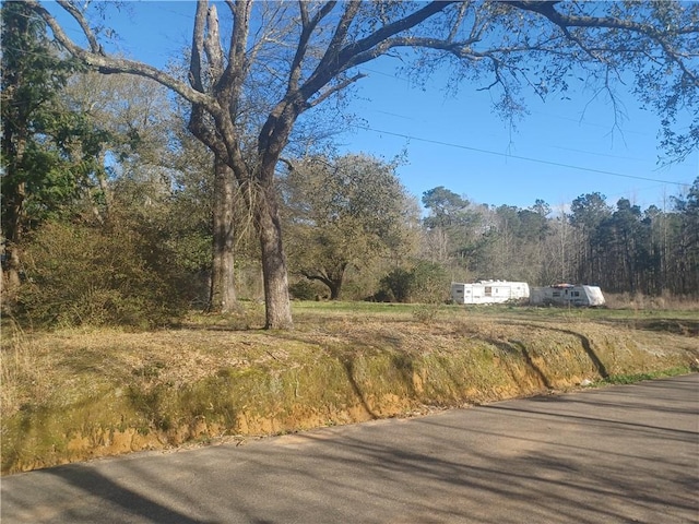 55485 Old Uneedus Rd, Loranger LA, 70446 land for sale