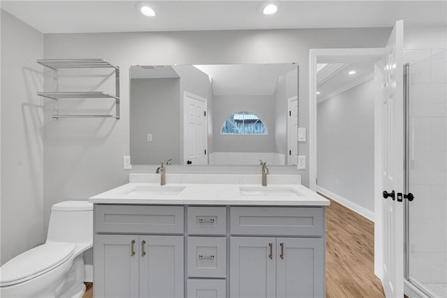 bathroom with a sink, toilet, wood finished floors, and double vanity