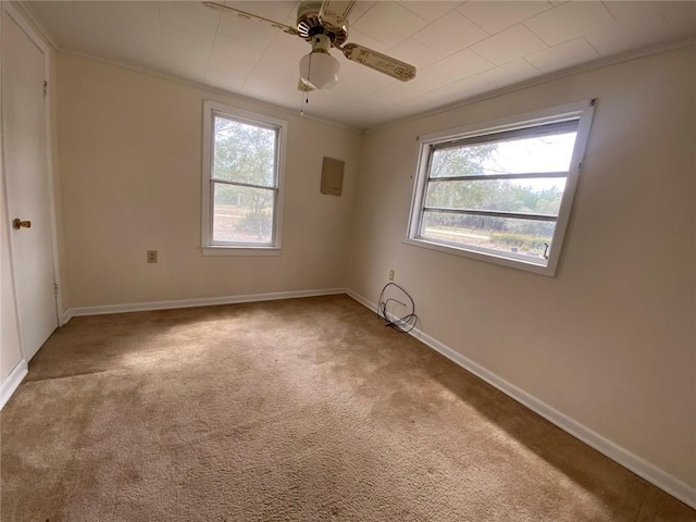 spare room with plenty of natural light, ornamental molding, baseboards, and carpet floors