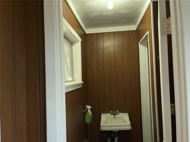 bathroom featuring wooden walls and a sink