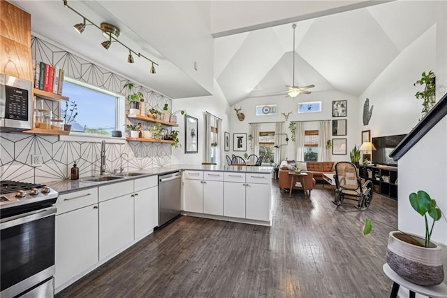 kitchen with open shelves, a sink, dark wood-type flooring, white cabinets, and appliances with stainless steel finishes