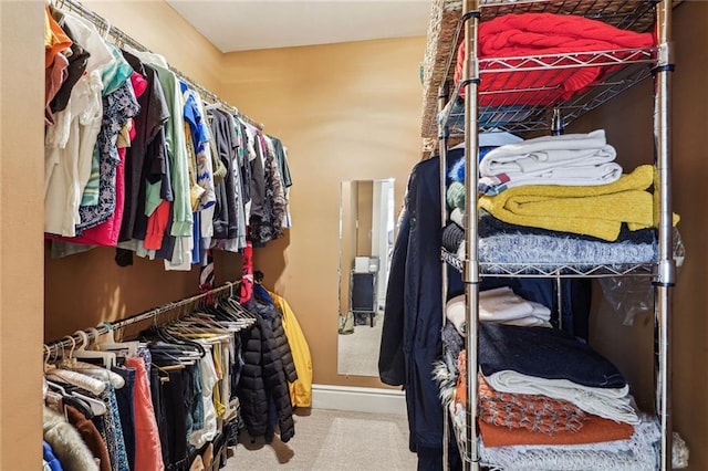 walk in closet featuring carpet flooring