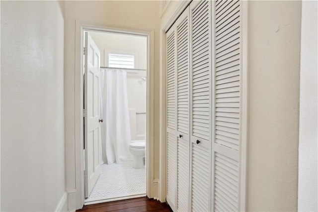 hall with dark wood-type flooring