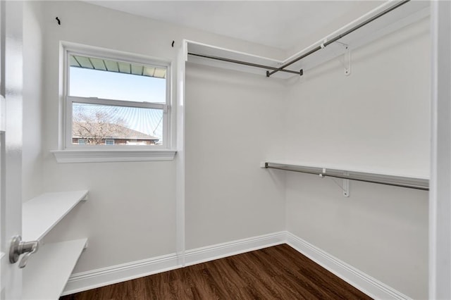 spacious closet with dark wood-type flooring