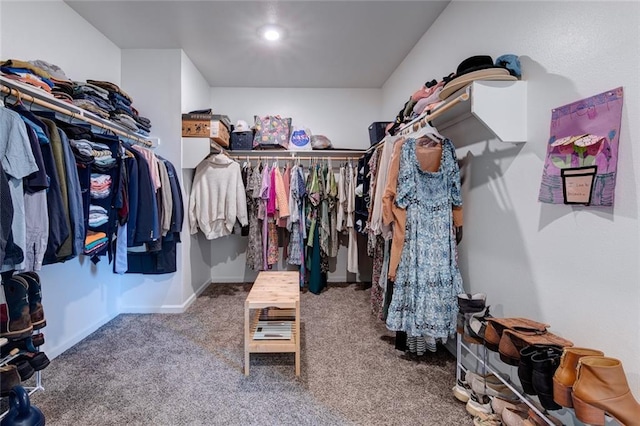 walk in closet with carpet