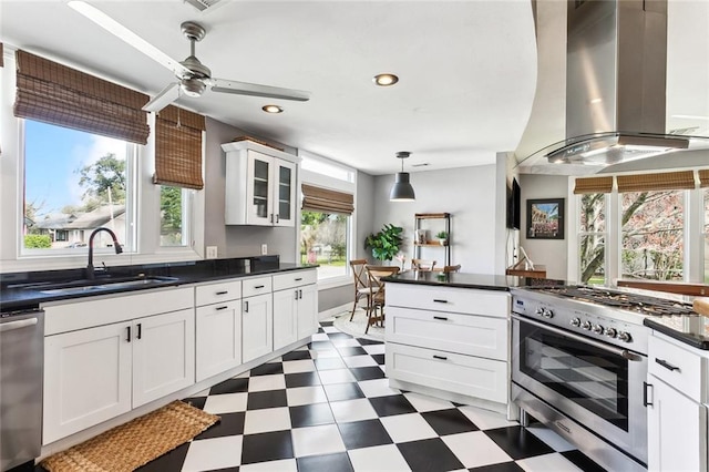 kitchen with dark countertops, dark floors, exhaust hood, stainless steel appliances, and a sink