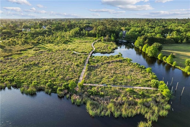 drone / aerial view with a wooded view and a water view