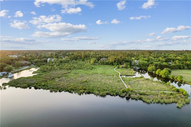 birds eye view of property featuring a view of trees and a water view