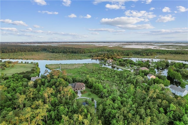 bird's eye view featuring a forest view and a water view