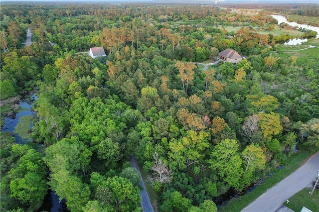 bird's eye view with a view of trees and a water view