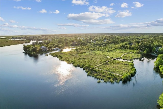 bird's eye view featuring a water view and a view of trees