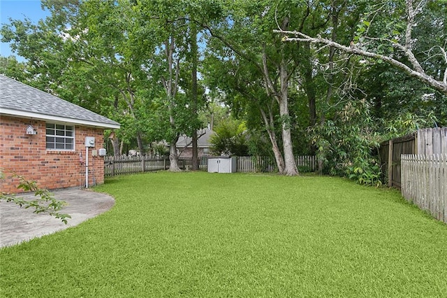 view of yard featuring a patio and a fenced backyard