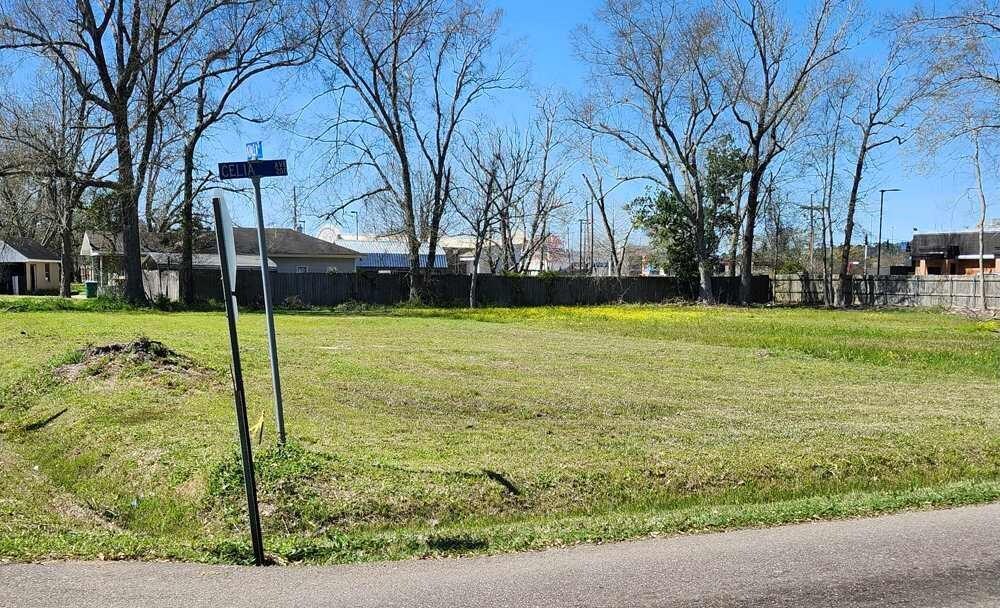 106 Celia Ave, Hammond, LA 70403 - photo 3