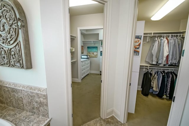 walk in closet with carpet
