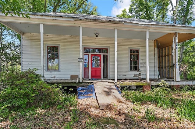 19411 Jenkins Ave, Covington, LA 70433 - photo 2