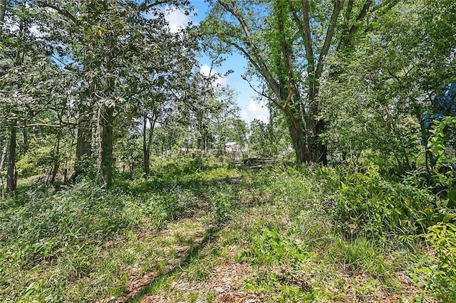 19411 Jenkins Ave, Covington, LA 70433 - photo 26