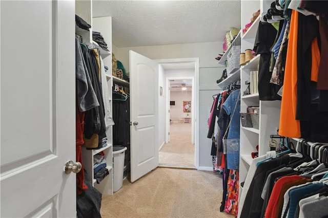 walk in closet with light colored carpet