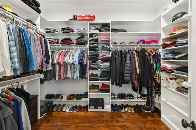 spacious closet featuring wood finished floors