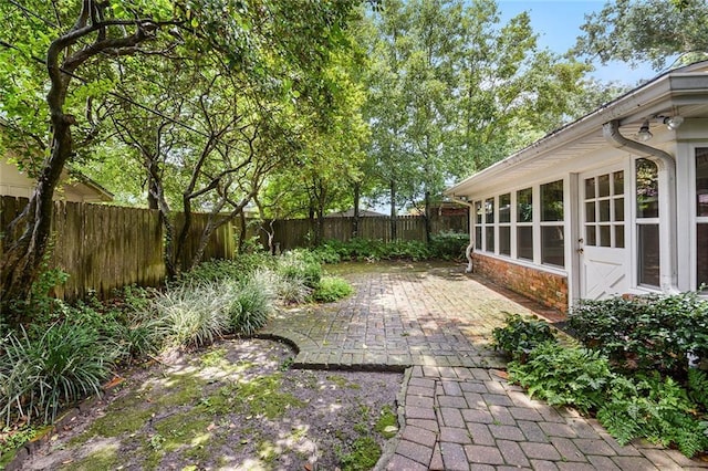 view of yard with a patio and a fenced backyard