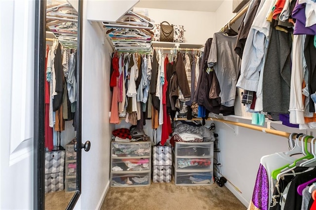 walk in closet featuring carpet