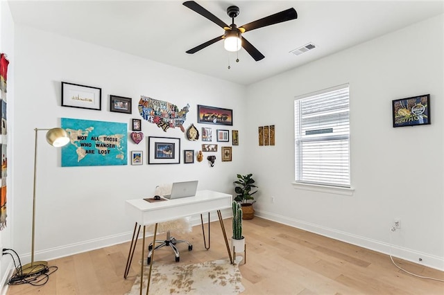 office featuring ceiling fan, baseboards, visible vents, and light wood-type flooring