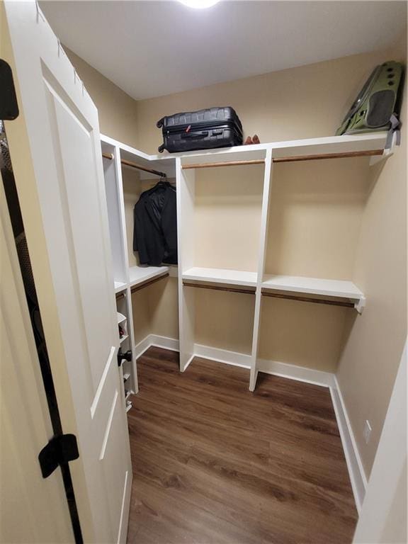 walk in closet with wood finished floors