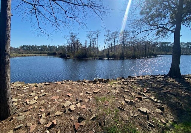 view of water feature with a wooded view