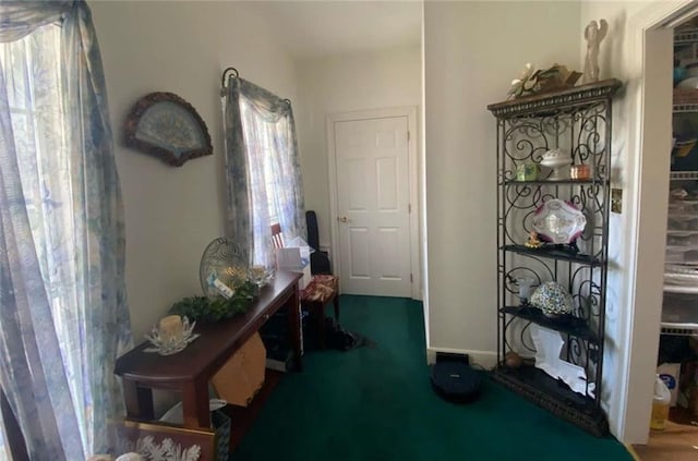 hallway featuring carpet flooring