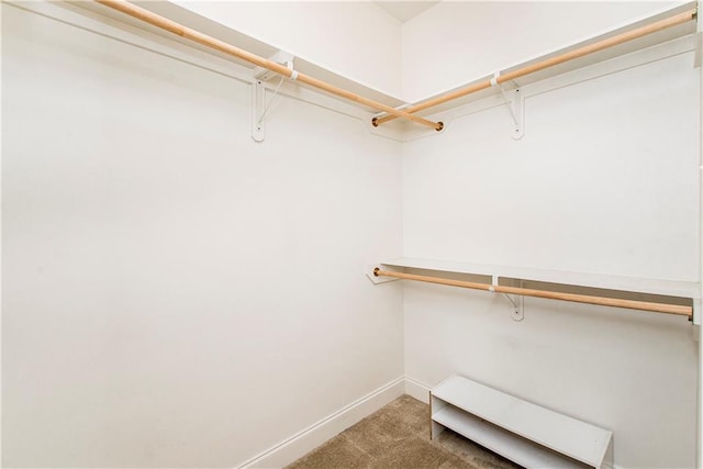 spacious closet with carpet floors