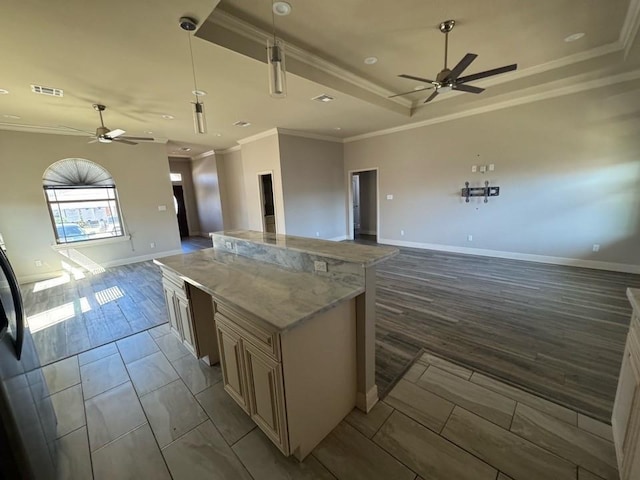 kitchen featuring wood finish floors, visible vents, a tray ceiling, open floor plan, and ceiling fan