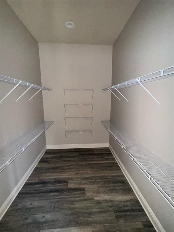 spacious closet featuring wood finished floors