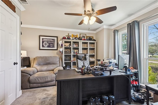 carpeted home office featuring ornamental molding, visible vents, and ceiling fan