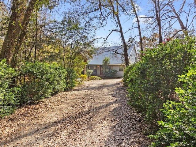 view of yard with driveway