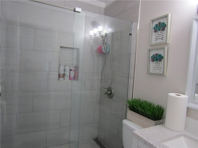 bathroom with a stall shower, toilet, and vanity