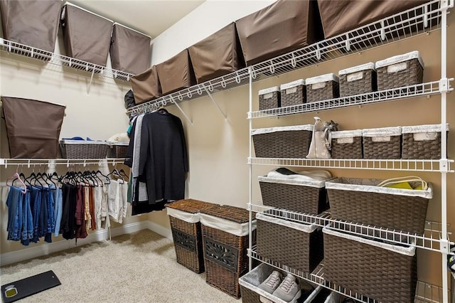 spacious closet featuring carpet floors