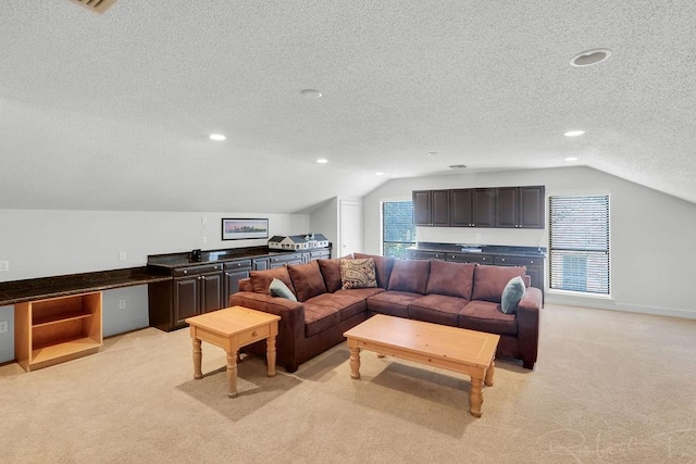 living area featuring a textured ceiling, a wealth of natural light, and light carpet