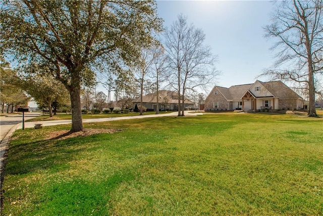 view of yard featuring concrete driveway