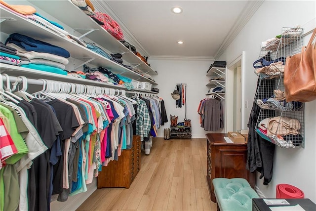 walk in closet with light wood finished floors