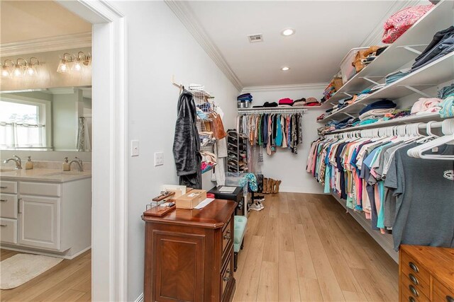 30648 Carter Cemetery Rd, Springfield, LA 70462 - walk in closet featuring a sink, visible vents, and light wood finished floors