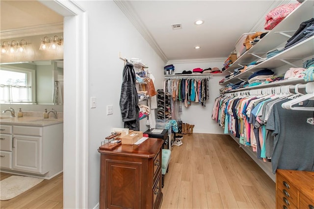 walk in closet featuring visible vents, light wood-type flooring, and a sink