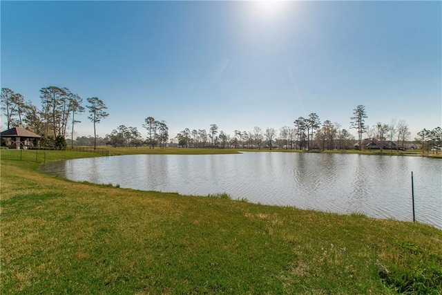 30648 Carter Cemetery Rd, Springfield, LA 70462 - water view