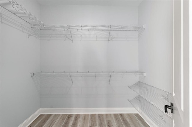 walk in closet with wood finished floors