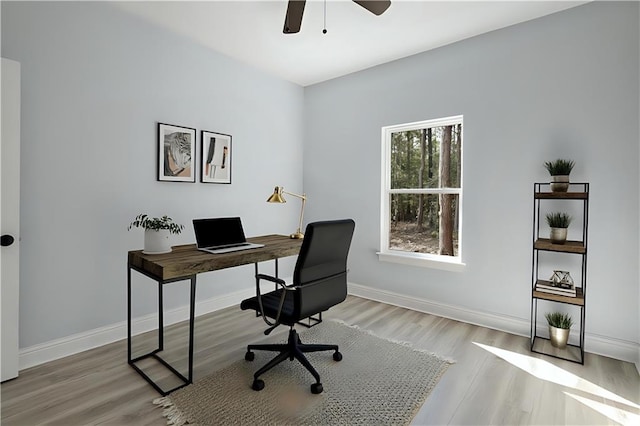 office space featuring light wood-type flooring, a ceiling fan, and baseboards