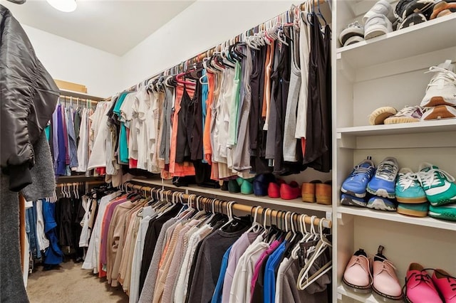 walk in closet with carpet flooring