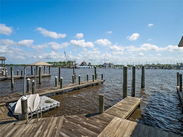 dock area with a water view