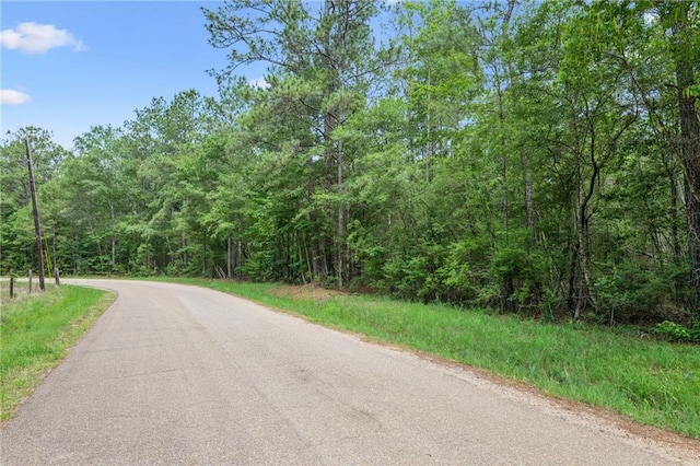 PARCEL2 Bruhl Rd, Folsom, LA 70437 - photo 1