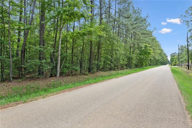 PARCEL2 Bruhl Rd, Folsom, LA 70437 - photo 2