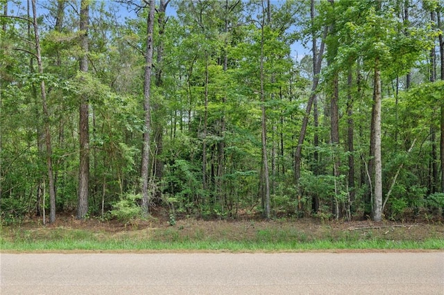 PARCEL2 Bruhl Rd, Folsom, LA 70437 - photo 3