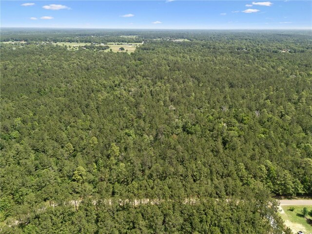PARCEL2 Bruhl Rd, Folsom, LA 70437 - photo 6