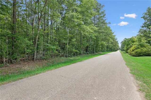 PARCEL2 Bruhl Rd, Folsom, LA 70437 - photo 8